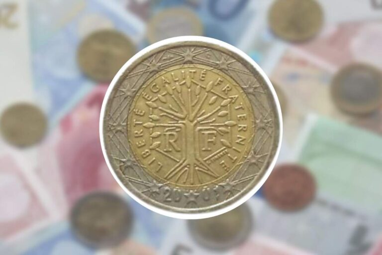 moneda 2 euros 2004 flores valor
